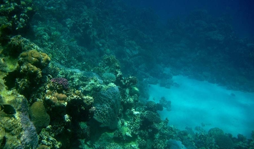 Tour de plongée en apnée Trois Piscines à Dahab