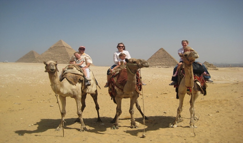 Pyramides de Gizeh, promenade à dos de chameau