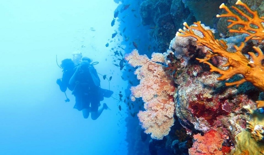 Excursions à Dahab, excursion en bateau en verre