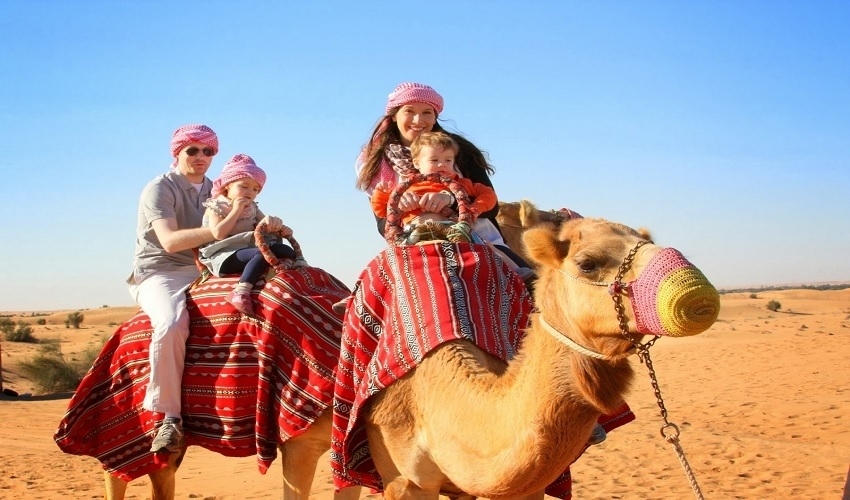 Camil in Safari tours, Sharm El Sheikh excursions