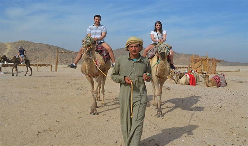 Tour de Safari à Dahab, excursions dahab